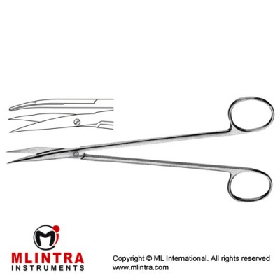 Potts Dissecting Scissor Curved Stainless Steel, 18 cm - 7"